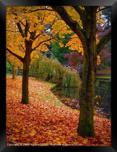 Pillars of Autumn Framed Print by Simon Martinez
