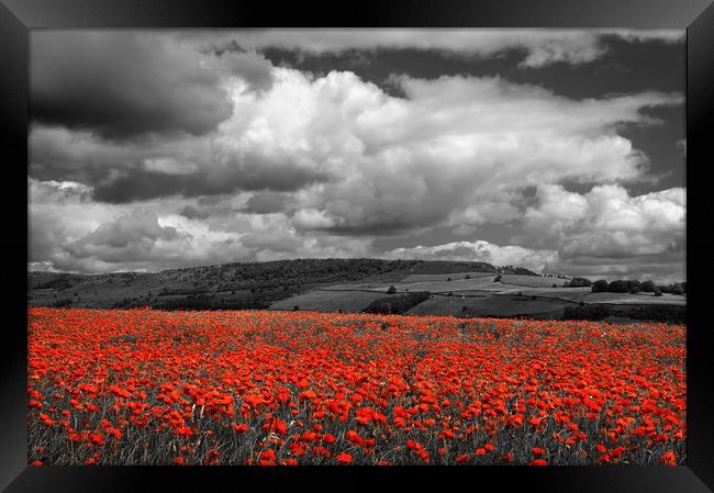 Poppy Field near Baslow,Derbyshire                 Framed Print by Darren Galpin