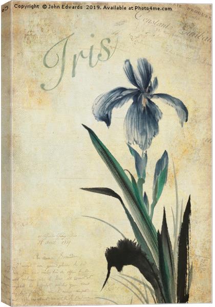 Iris Canvas Print by John Edwards