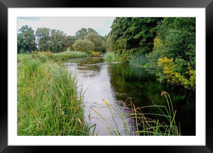 The Itchen River Framed Mounted Print by Hayley Jewell