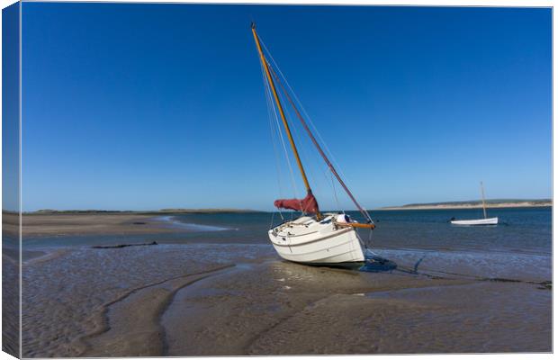Yacht moored on Grey sands beach at Appledore Canvas Print by Tony Twyman