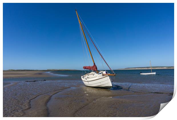 Yacht moored on Grey sands beach at Appledore Print by Tony Twyman