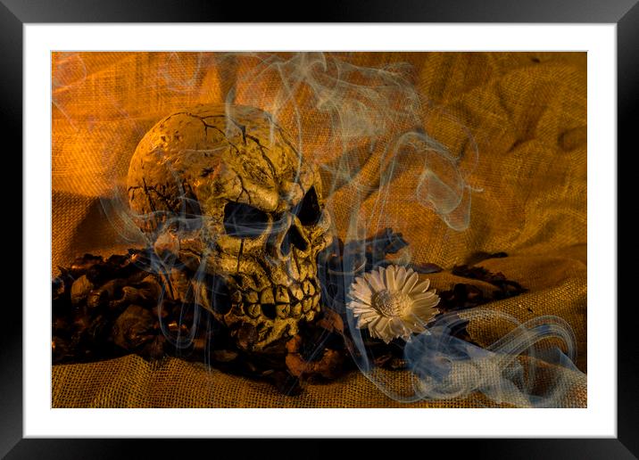 Skull Smoke And Flowers Framed Mounted Print by Steve Purnell