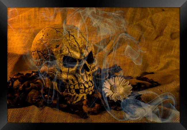 Skull Smoke And Flowers Framed Print by Steve Purnell