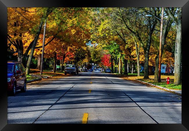 Autumn Lane Framed Print by Jonah Anderson Photography