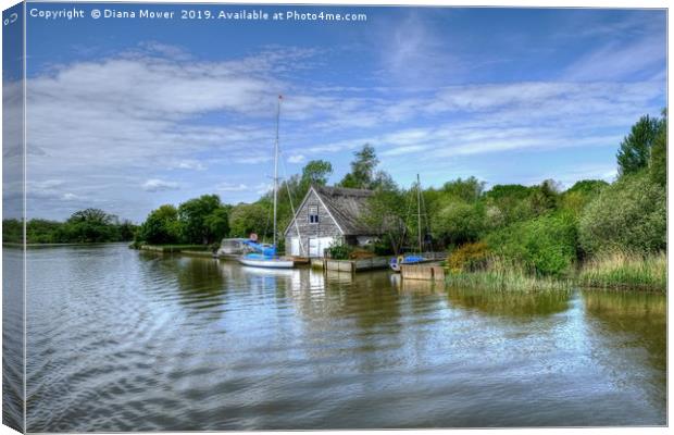 The River Waveney Canvas Print by Diana Mower