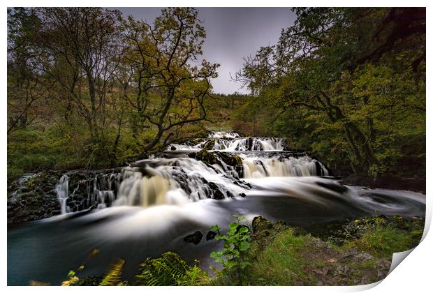 Autumn Falls Print by Phil Nilsson