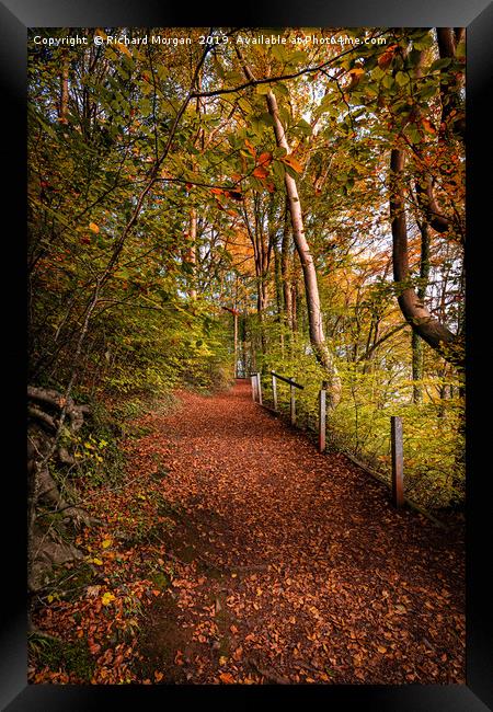 Autumnal Colours Framed Print by Richard Morgan