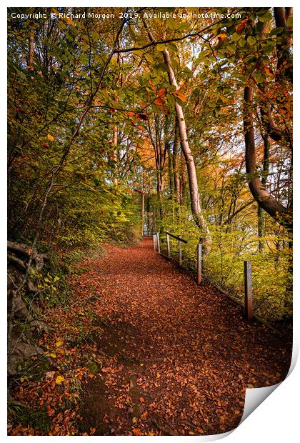 Autumnal Colours Print by Richard Morgan