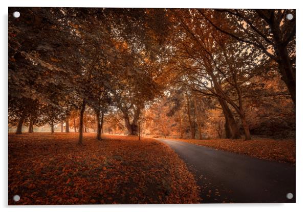 Autumn Colours Acrylic by Svetlana Sewell