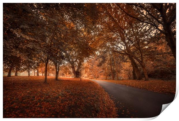 Autumn Colours Print by Svetlana Sewell
