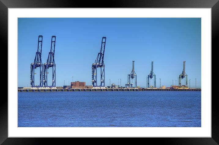 The Cranes Framed Mounted Print by Chris Thaxter