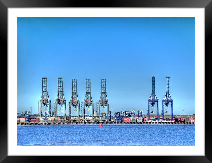 The Cranes 2 Framed Mounted Print by Chris Thaxter