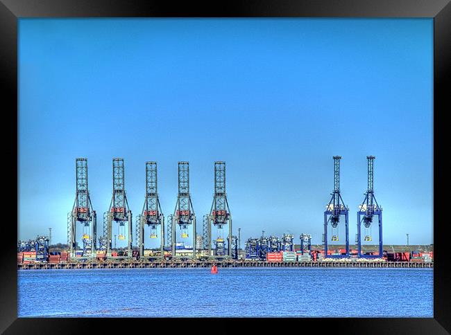 The Cranes 2 Framed Print by Chris Thaxter