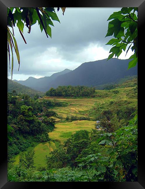 Banaue Rice Terraces Framed Print by Serena Bowles