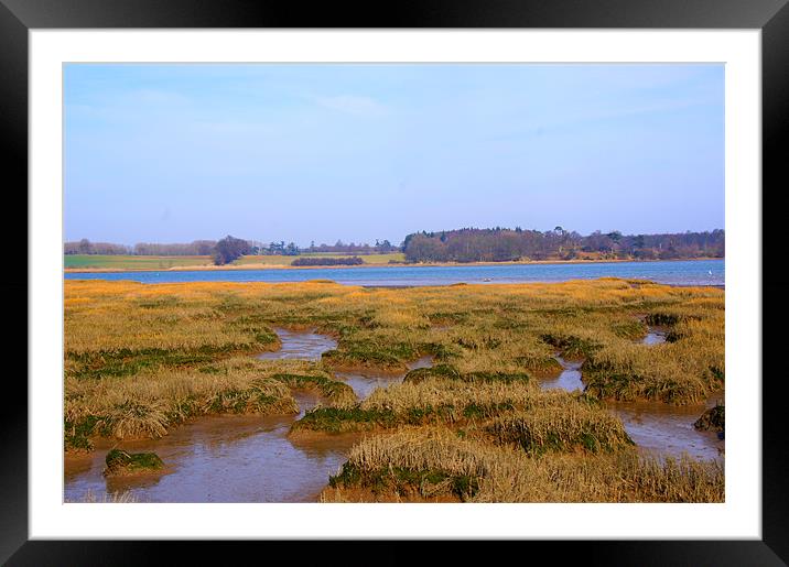Deben River, Suffolk. Framed Mounted Print by Sheryl Brown