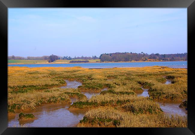 Deben River, Suffolk. Framed Print by Sheryl Brown