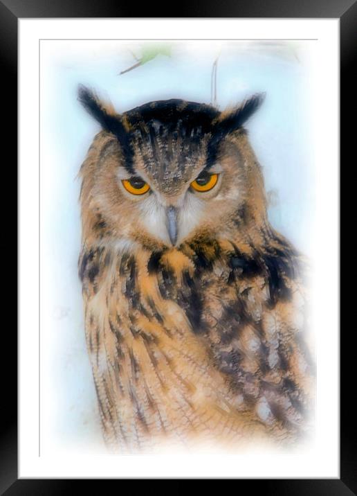 European Long Eared Owl Framed Mounted Print by Brian Beckett