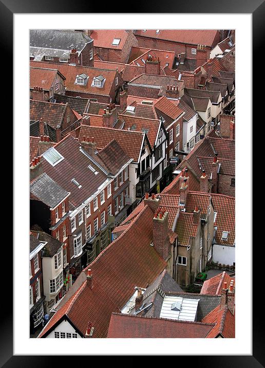 York roof tops Framed Mounted Print by Tony Bates