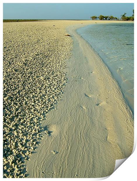 Textured Sand Print by Serena Bowles