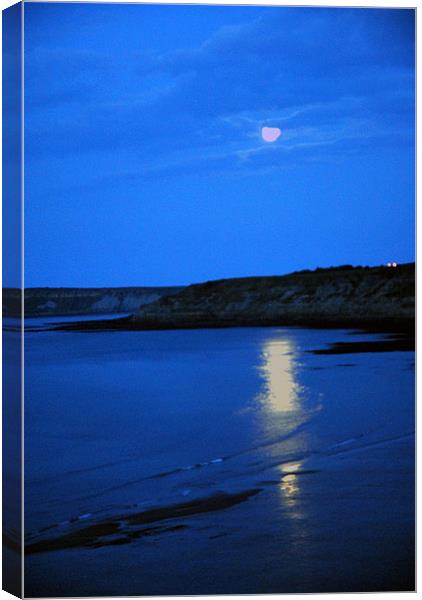 A Blue Moonlight over the Sea Canvas Print by JEAN FITZHUGH