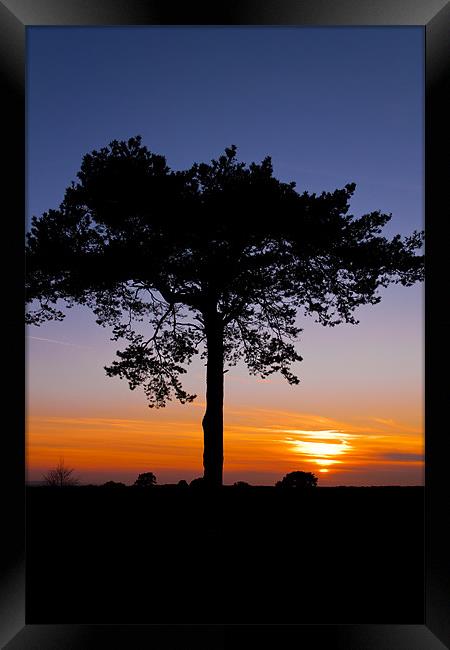 Sunsets over Ashdown Forrest, Sussex Framed Print by Eddie Howland