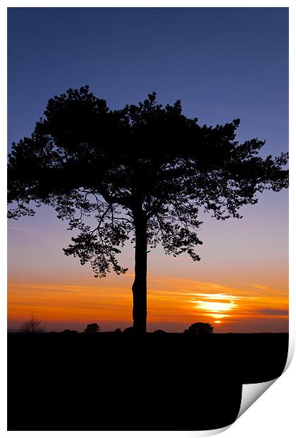 Sunsets over Ashdown Forrest, Sussex Print by Eddie Howland