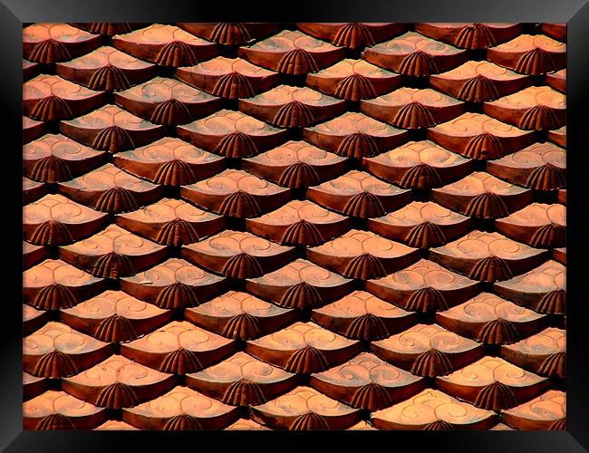 Red Roof Tiles Framed Print by Serena Bowles