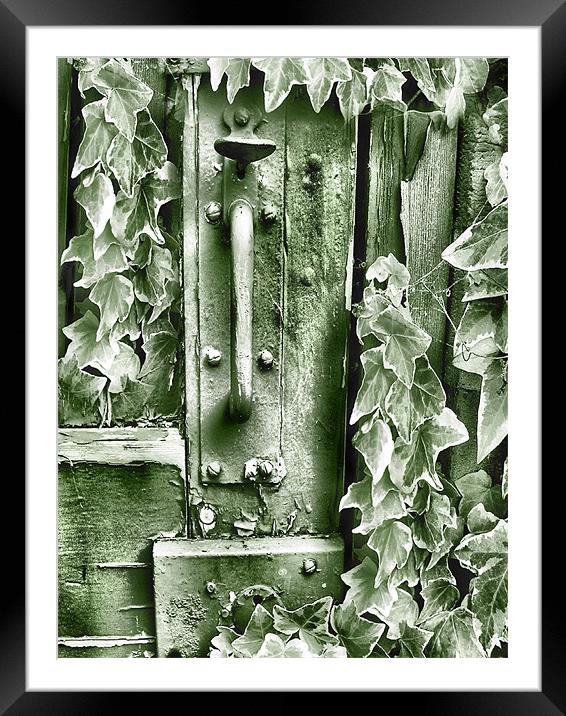 the garden gate Framed Mounted Print by Heather Newton