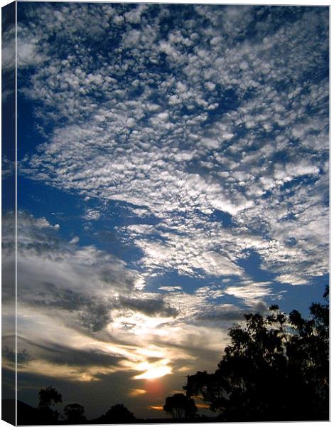 Australian Sky Canvas Print by Serena Bowles