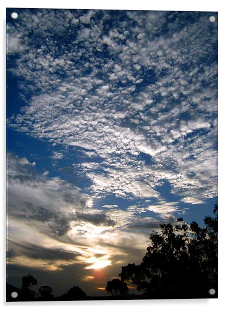 Australian Sky Acrylic by Serena Bowles