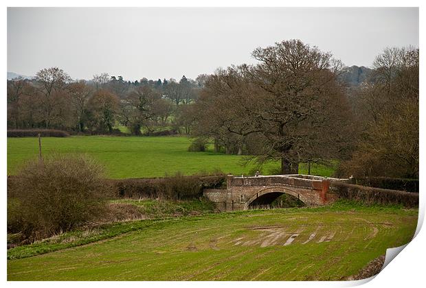 Stone Bridge, Chiddingstone Causeway Print by Dawn O'Connor