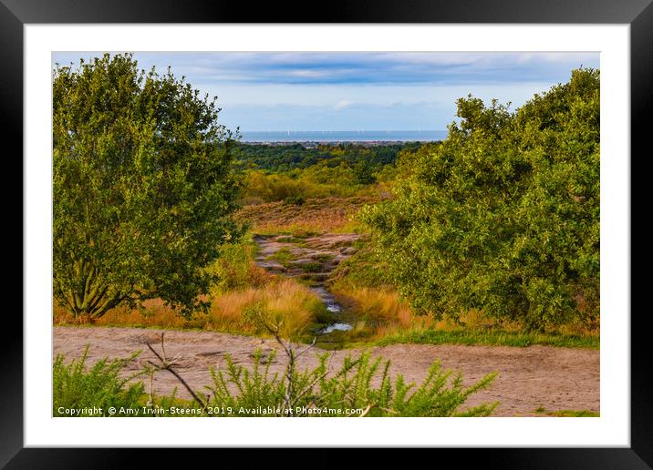 Autumn at Thurstaston Hill Framed Mounted Print by Amy Irwin-Steens