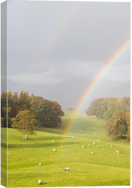 Double rainbow over the Lake District Canvas Print by Jason Wells