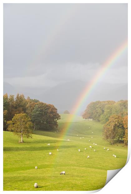 Double rainbow over the Lake District Print by Jason Wells