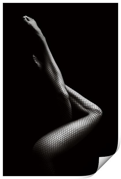 Legs in Fishnet Stockings 1 Print by Johan Swanepoel