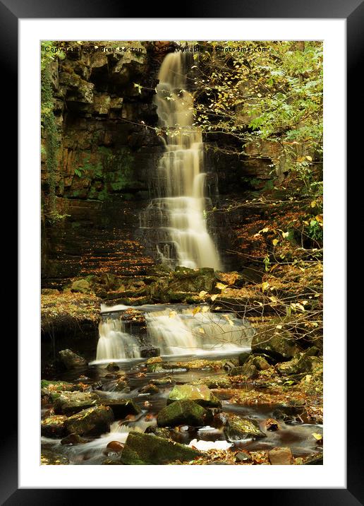 ASKRIGG MILL GILL Framed Mounted Print by andrew saxton