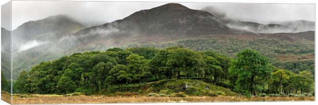 Crummock Water Panorama Canvas Print by Robbie Spencer