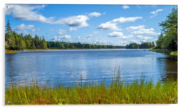 South Shore Lake, Nova Scotia, Canada Acrylic by Mark Llewellyn