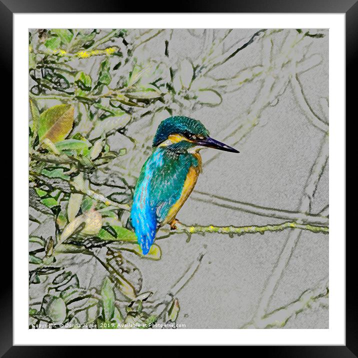 Kingfisher print Framed Mounted Print by Donna Joyce