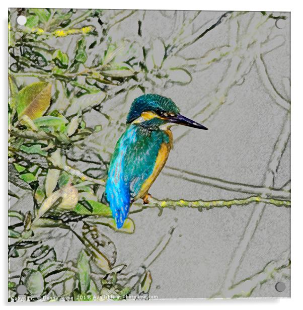 Kingfisher print Acrylic by Donna Joyce