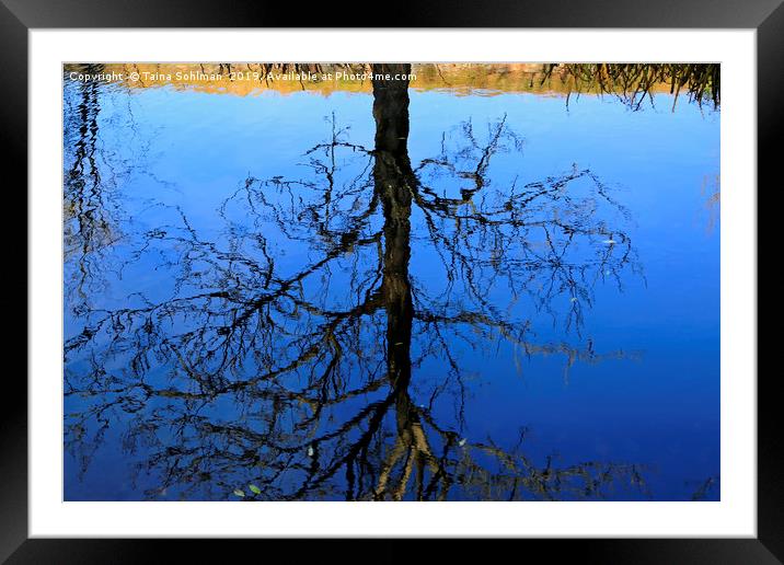 Mirrored Tree Framed Mounted Print by Taina Sohlman