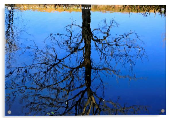 Mirrored Tree Acrylic by Taina Sohlman