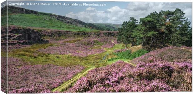 Ilkley Moor Summer Time Canvas Print by Diana Mower