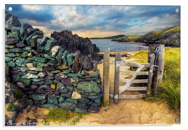 Llanddwyn Island Acrylic by Ian Mitchell