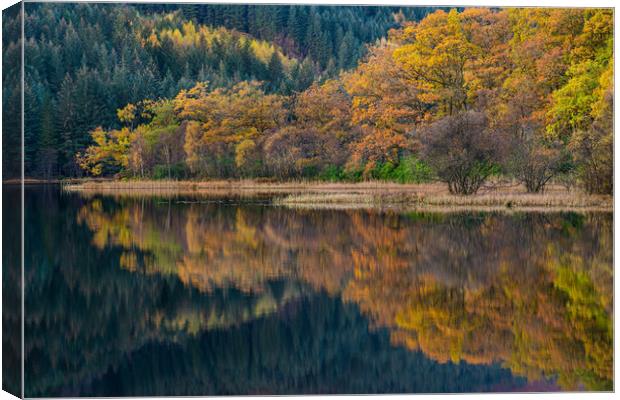 Colorful autumn trees and reflections.  Canvas Print by George Robertson