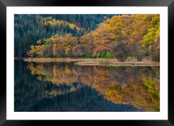 Colorful autumn trees and reflections.  Framed Mounted Print by George Robertson