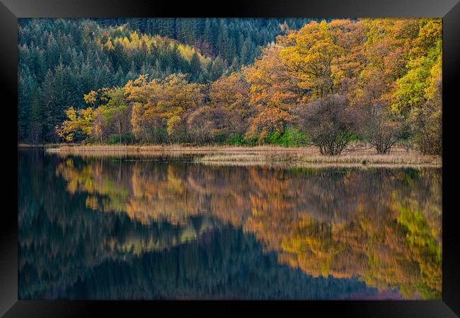 Colorful autumn trees and reflections.  Framed Print by George Robertson