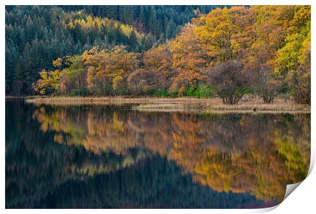 Colorful autumn trees and reflections.  Print by George Robertson