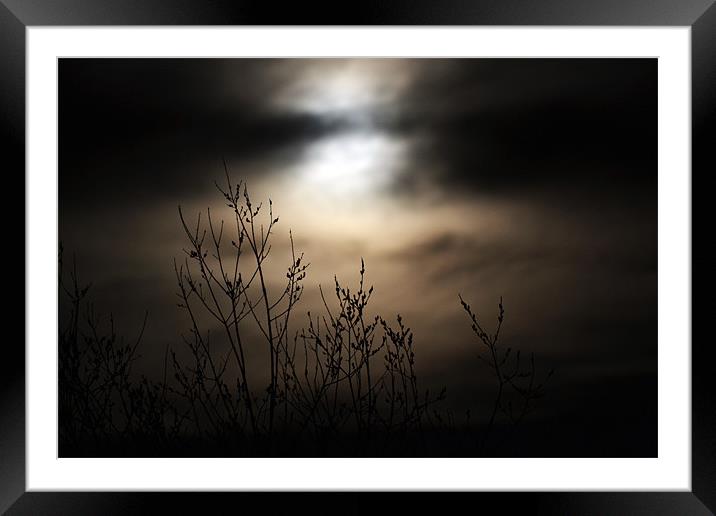 Mysterious Night Framed Mounted Print by Donna Collett
